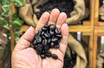 Coffee N’ Chill Fest Brews Up Coffee Experiences Across SM Malls in the East Metro — LifestyleBucket