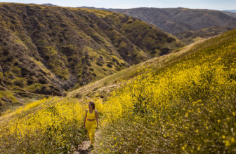 Things to do in Santa Barbara: March (2026)