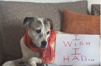 I Wish I Had…