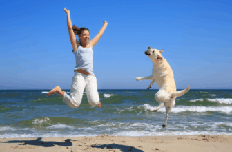 How Smart is Your Labrador?