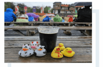 Welcome to Our Newest Writer – Drunk Duck!