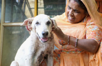 Solly’s life force had almost slipped away, until loving help turned it around…