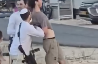 Armed Israeli Settlers Kidnap British Activist