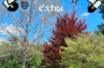 The Essential Herbal Blog: May/June ’26 TEH EXTRA
