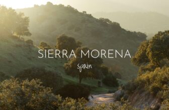 Searching for Lynx in Sierra Morena, Spain – This Wild Life Of Mine