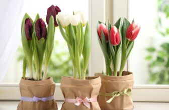 Simple Apartment Updates to Welcome the Spring Season