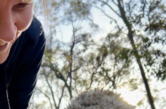 Thank You FOTA Perth and Congratulations Snowy!