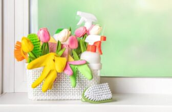 Spring Cleaning Tips Every Apartment Resident Should Know