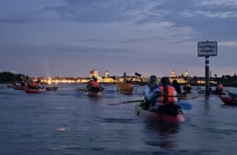 St. Augustine Bioluminescence Tour Is One of the Top Trending Things to Do This Summer