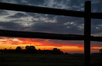 Farmers Left Waiting After Senate Farm Bill Fails to Advance | News Release