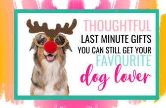 Last Minute Holiday Gifts You Can Still Get Your Favourite Dog Lover