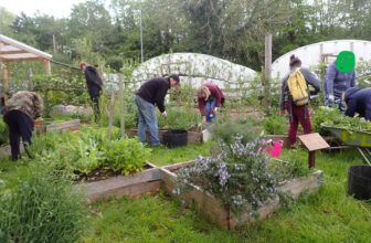 Spring into gardening with a new Tir Coed course