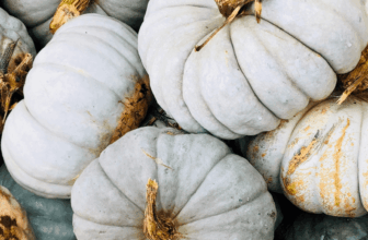 Is It Too Early To Decorate For Fall? –