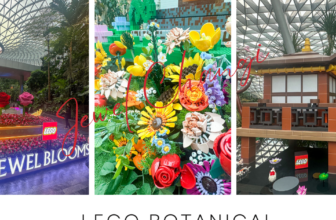 LEGO Botanicals takes over Jewel from May to July – TheWackyDuo.com