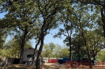Tree Mitigation for Construction Trauma | Weatherford, Texas