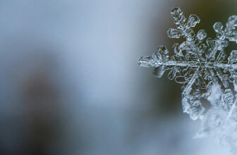 Winter Doldrums | Close To The Bone Publishing