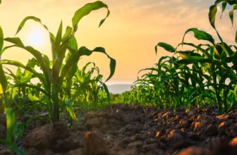 Adjuvants Needed for Biological Adoption