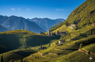 The Alpine Wines of Trentino: Mountain Elegance and Terroir