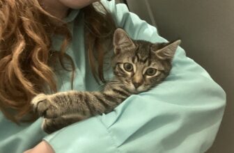 The Animal Protection Society of Durham