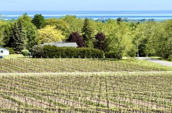 Flat Rock Cellars’ top 2025 wines are ‘powerful without heaviness’