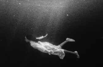 June McDoom – Without You
