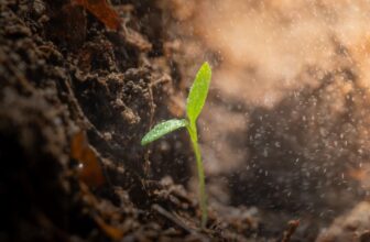 What God Is Doing While You Wait – The Sisterhood Hub