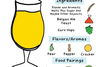Everything You Need To Know About Belgian Blond Ale