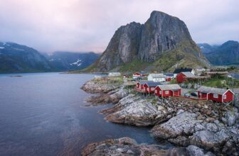 Top Picks for Every Budget