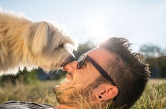 Calling All Guys! Dog Training Needs You!