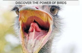 Birds That Represent Strength: Unlock Their Power