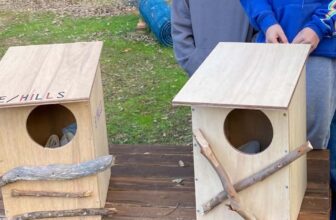 Possum Valley Animal Sanctuary Inc.: Thanks Eastern Hills Scouts!