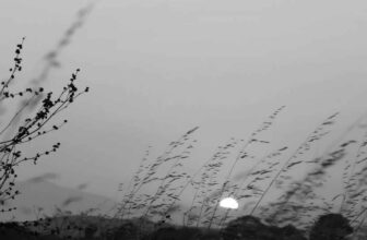 Desert Dwellers and Visitors: Mental Illness and Lent