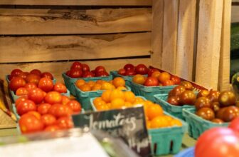 2026 SAFN Student Research Award Winner! – FoodAnthropology