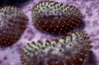 Ancient arms race sharpened our immune system, which still left us weak