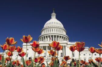 The Senate Farm Bill Markup: What Happened and What’s Next