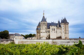 Chenin Blanc in the Loire
