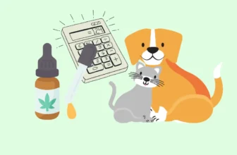 5 Simple Steps to Safe & Effective Use