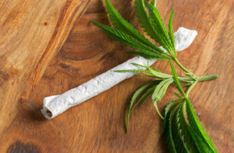 A Look At The CBD Pre-Roll Market Entering 2026