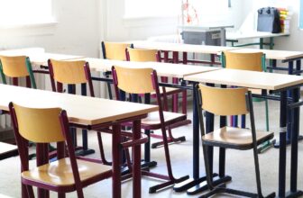 Everything I Learned About the Dutch Education System
