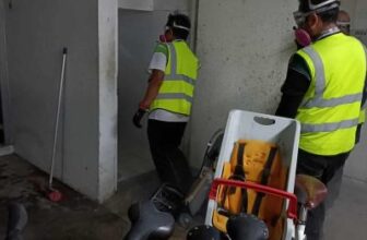 German Cockroach Control Singapore – Greencare Pest Control & Cleaning