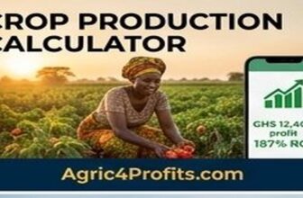 Crop Production Calculator for Winged Bean Farming in Comoros