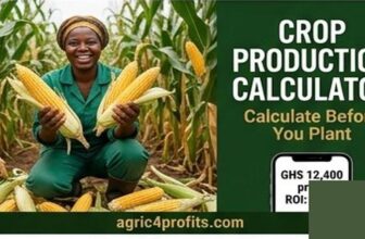 Crop Production Calculator for Bitter Leaf Farming in Morocco