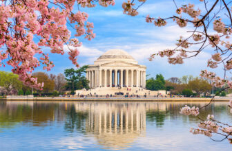 Awesome Places You Must Show Your Kids in Washington D.C.