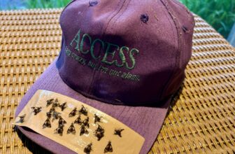 Deer fly deterrence for runners: the backward-cap experiment : Conferences That Work