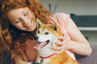 How Dogs Can Burn Energy Safely During Days of Extreme Heat