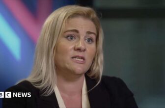 Burnham ‘looking into’ conducting Epstein inquiry, says victims minister