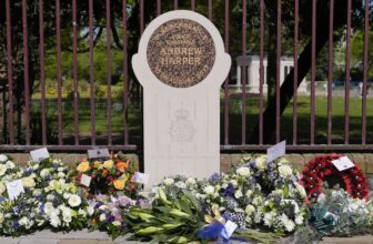 Pc Harper’s mother says family ‘will pay the price’ for early release scheme