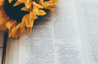 Which Bible Translation is Best? – life with cherie