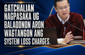 Gatchalian Files Bill Seeking to End System Loss Charges