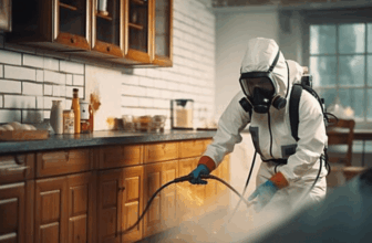 Carpet Beetle Control Singapore: Fabric Protection & Professional Removal
